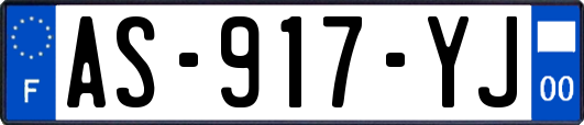AS-917-YJ