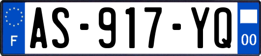 AS-917-YQ