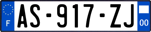 AS-917-ZJ