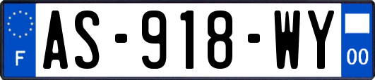 AS-918-WY