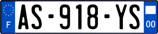 AS-918-YS