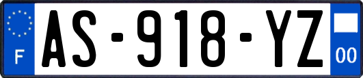 AS-918-YZ