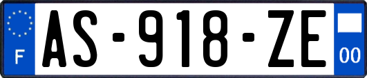 AS-918-ZE