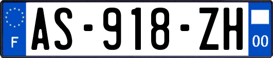 AS-918-ZH