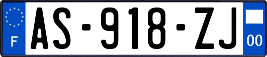 AS-918-ZJ