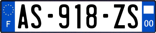 AS-918-ZS