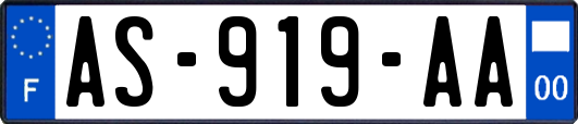 AS-919-AA