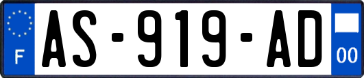 AS-919-AD