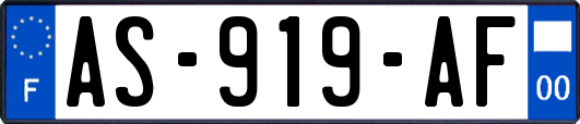 AS-919-AF