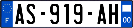 AS-919-AH