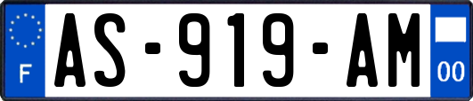 AS-919-AM