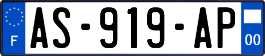 AS-919-AP