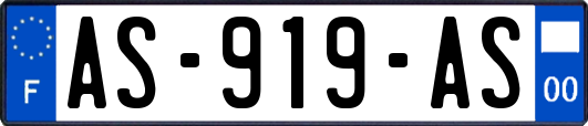 AS-919-AS