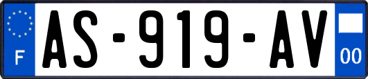 AS-919-AV