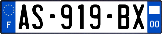 AS-919-BX