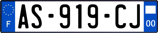 AS-919-CJ