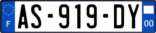 AS-919-DY