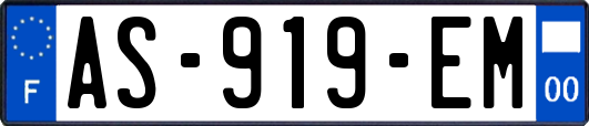 AS-919-EM