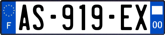 AS-919-EX