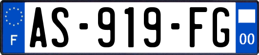 AS-919-FG