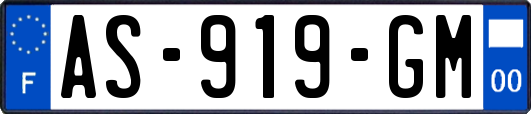 AS-919-GM