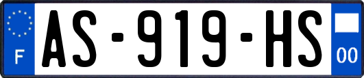 AS-919-HS