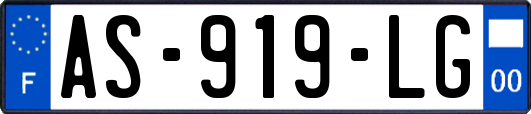 AS-919-LG