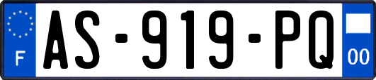 AS-919-PQ