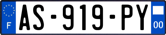 AS-919-PY