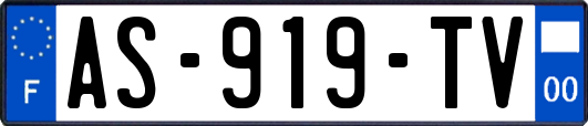 AS-919-TV