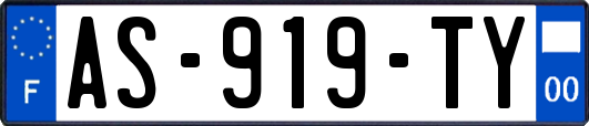 AS-919-TY