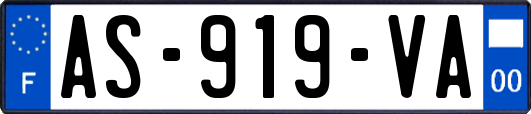 AS-919-VA