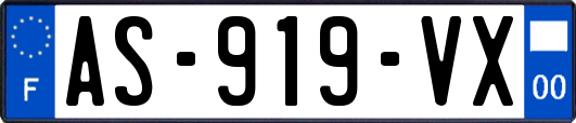 AS-919-VX