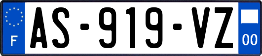 AS-919-VZ