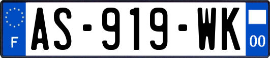 AS-919-WK
