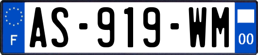 AS-919-WM