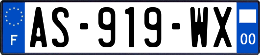 AS-919-WX