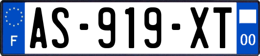 AS-919-XT