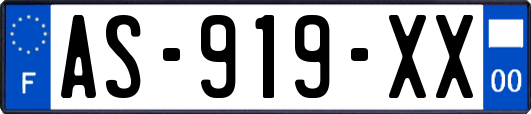 AS-919-XX