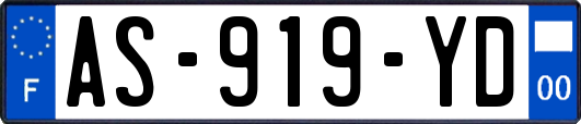 AS-919-YD