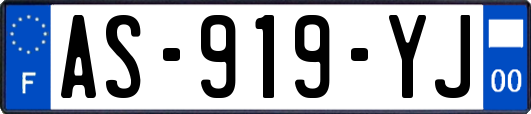 AS-919-YJ