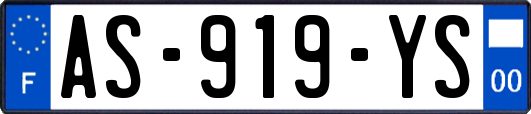 AS-919-YS