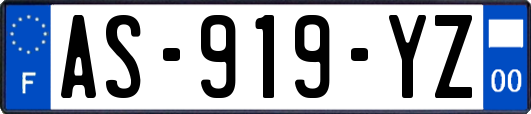 AS-919-YZ