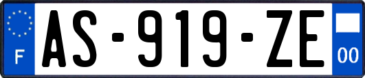 AS-919-ZE