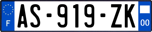 AS-919-ZK