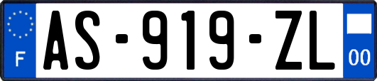 AS-919-ZL