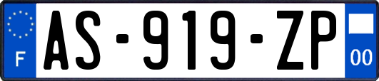 AS-919-ZP