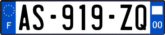 AS-919-ZQ