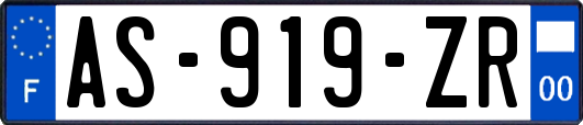 AS-919-ZR