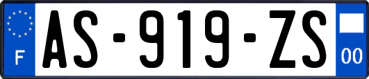 AS-919-ZS